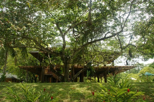 06 A very proud NZ tiled roof on the Rio Dulce.JPG © Ian & Andrea Treleaven